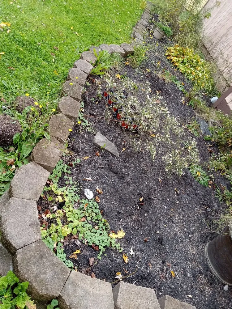 Affordable landscaping services for residential properties in Waterloo, NY by FLX Lawncare and Hardscapes