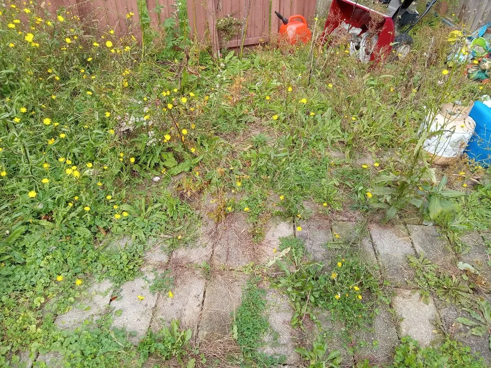 Reliable yard cleanup service in Waterloo, NY by FLX Lawncare and Hardscapes