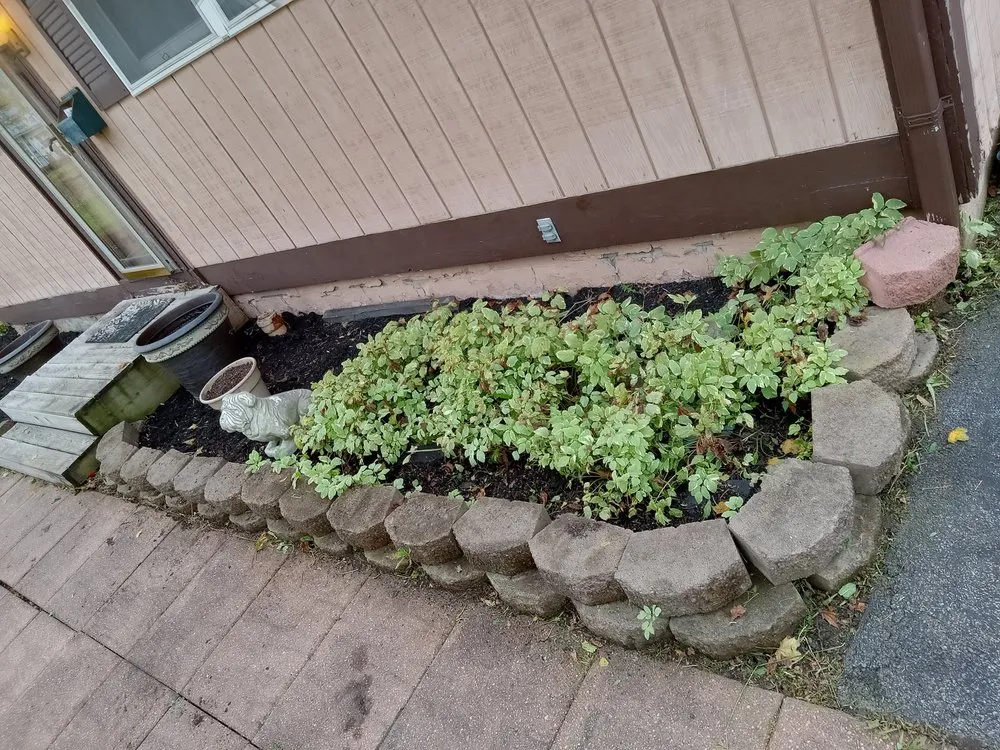 Top-rated garden landscaping in Waterloo, NY by FLX Lawncare and Hardscapes