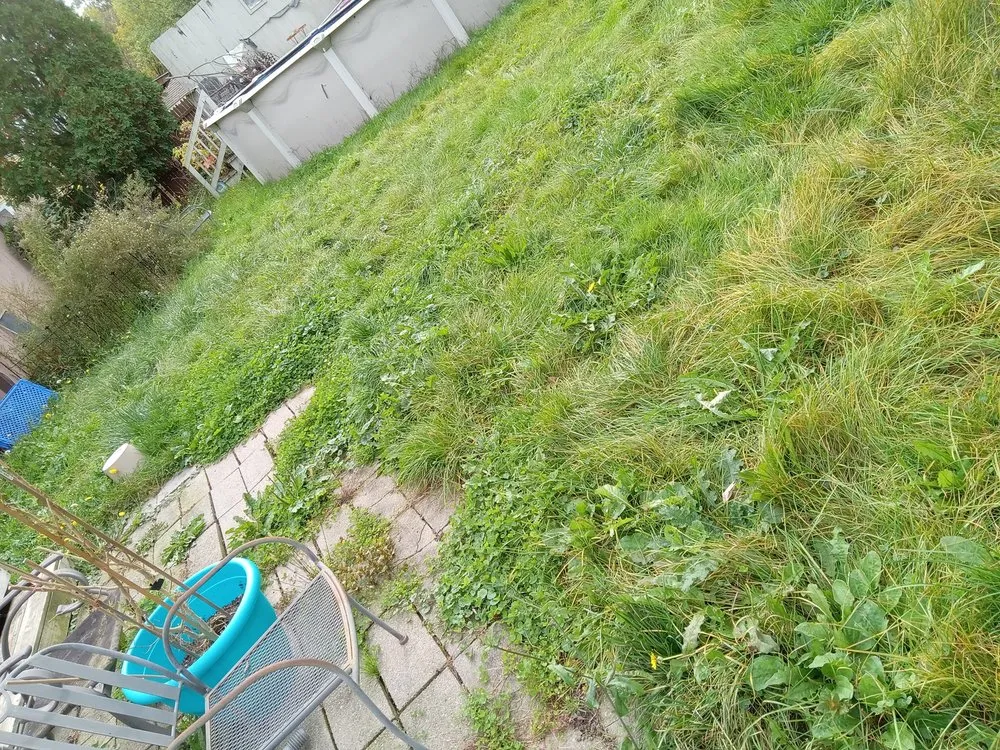 Professional garden landscaping for outdoor upgrades across Waterloo, NY - FLX Lawncare and Hardscapes