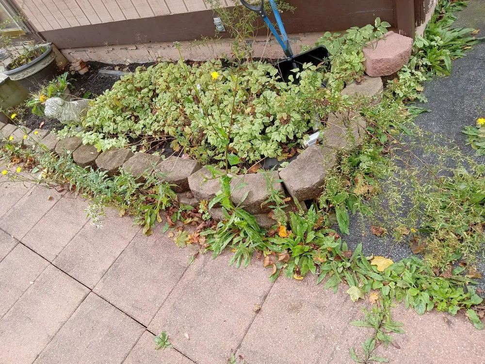 Expert residential landscaping for outdoor upgrades across Waterloo, NY - FLX Lawncare and Hardscapes