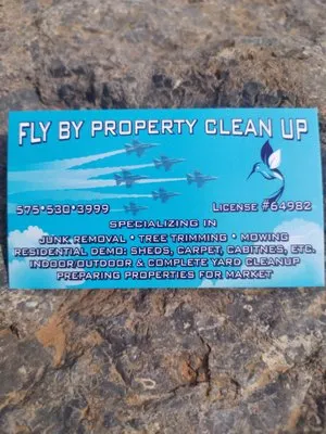 Fly By Property Clean Up Logo