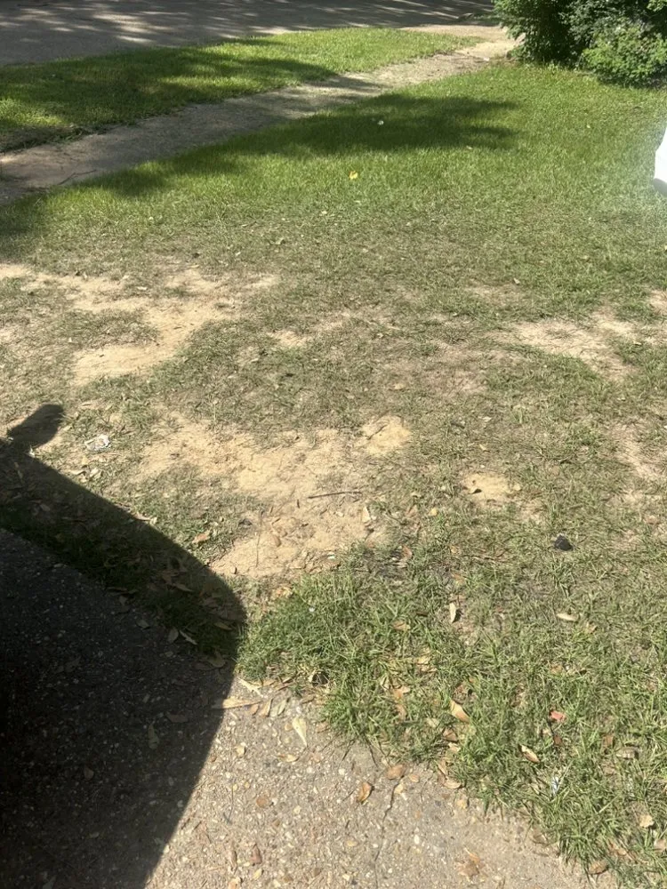 Professional outdoor landscaping in Shreveport, LA by Fly Lawn care