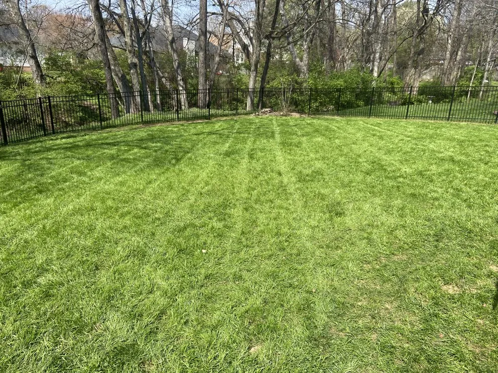 Affordable yard cleanup service for outdoor upgrades in Thompson's Station, TN by Fly Mowing And Lawn Services