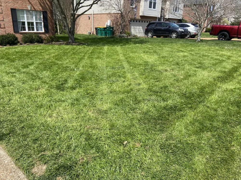 Top-rated residential landscaping experts serving Thompson's Station, TN - Fly Mowing And Lawn Services