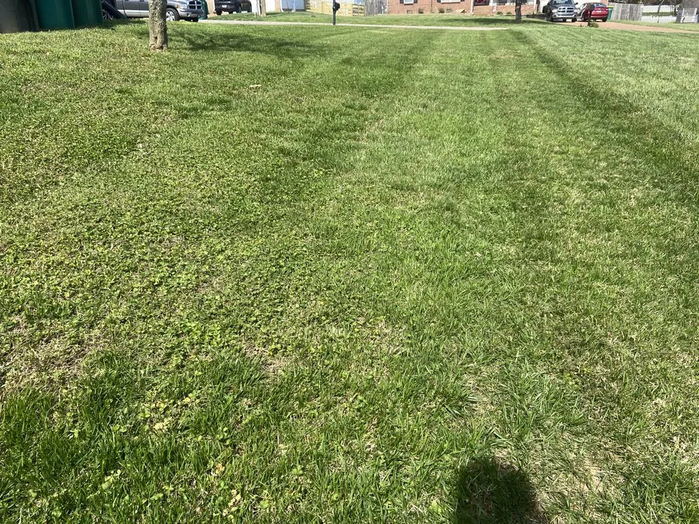 Reliable residential landscaping with custom design in Thompson's Station, TN by Fly Mowing And Lawn Services
