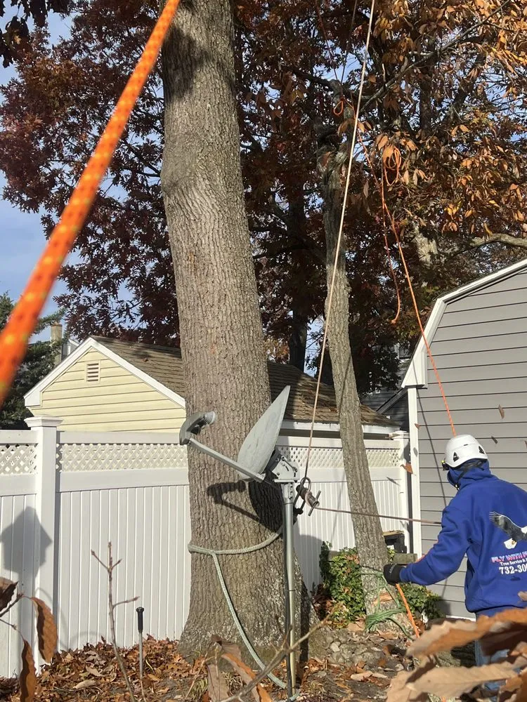 Expert landscaping services experts serving Howell Township, NJ - Fly With Freedom Tree Service
