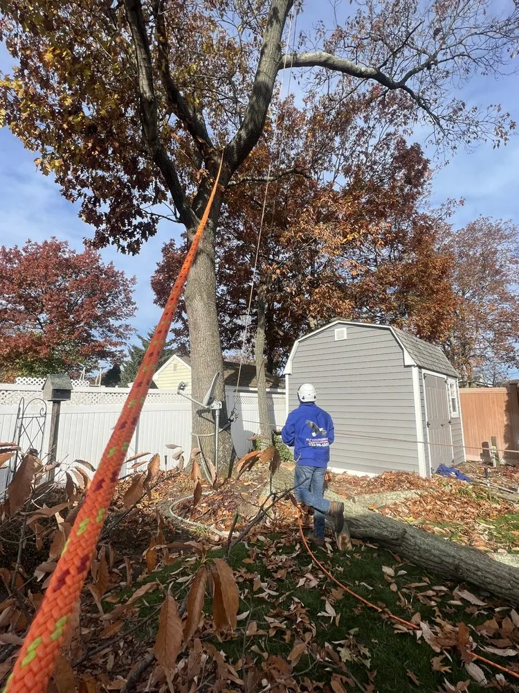 Custom lawn care service for year-round maintenance in Howell Township, NJ by Fly With Freedom Tree Service