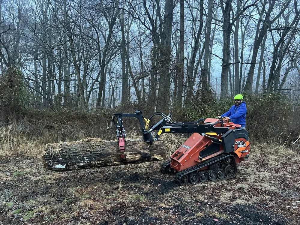 Reliable landscape installation for year-round maintenance across Howell Township, NJ - Fly With Freedom Tree Service