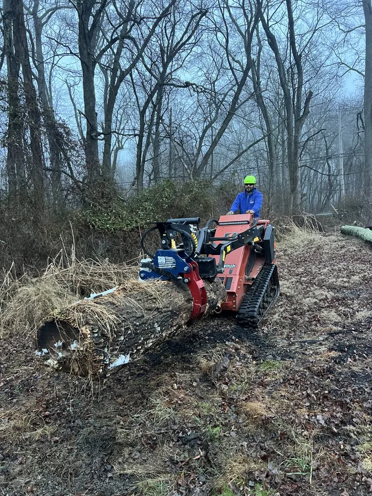 Expert landscape design in Howell Township, NJ - Fly With Freedom Tree Service