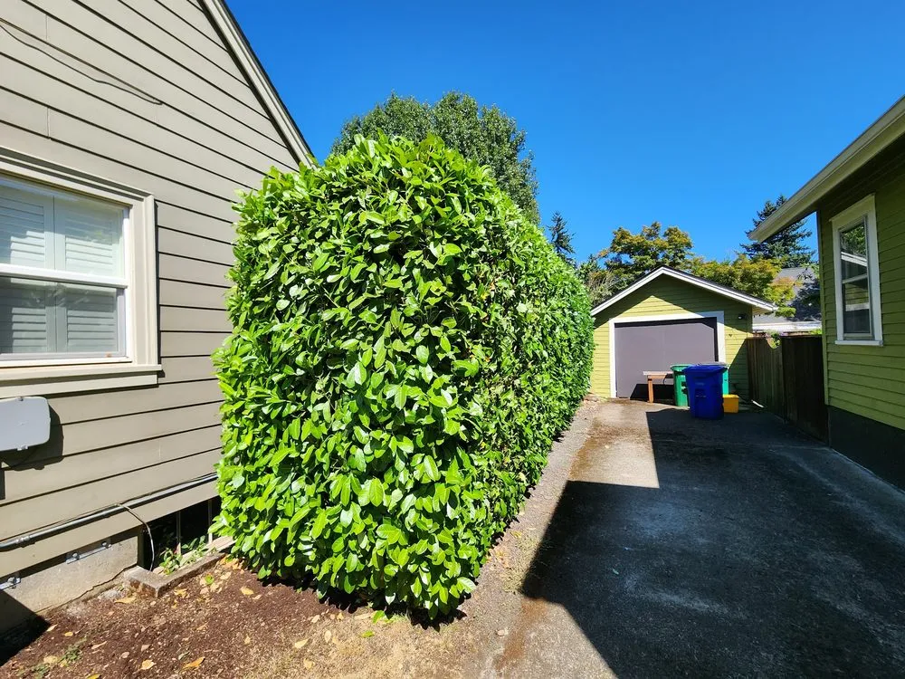 Expert landscape installation for homes across Portland, OR - Flying Crow Organic Yard Care