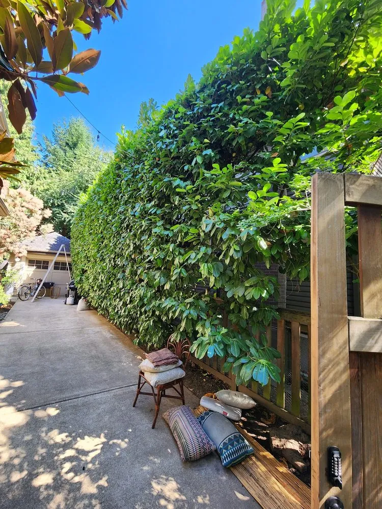 Local yard maintenance in Portland, OR by Flying Crow Organic Yard Care