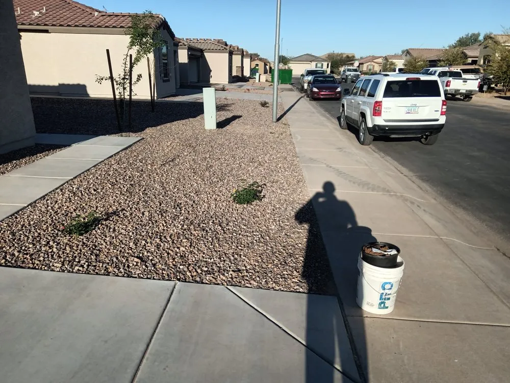 Custom landscape installation in Maricopa, AZ by Flying Jays Detail