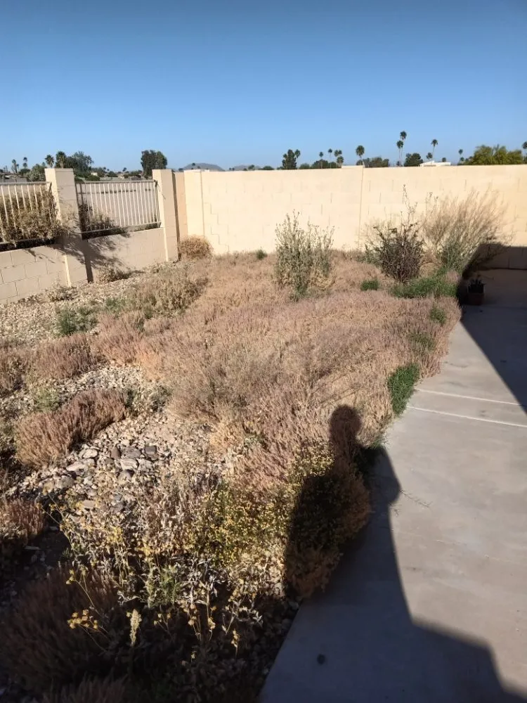 Affordable lawn care service in Maricopa, AZ by Flying Jays Detail