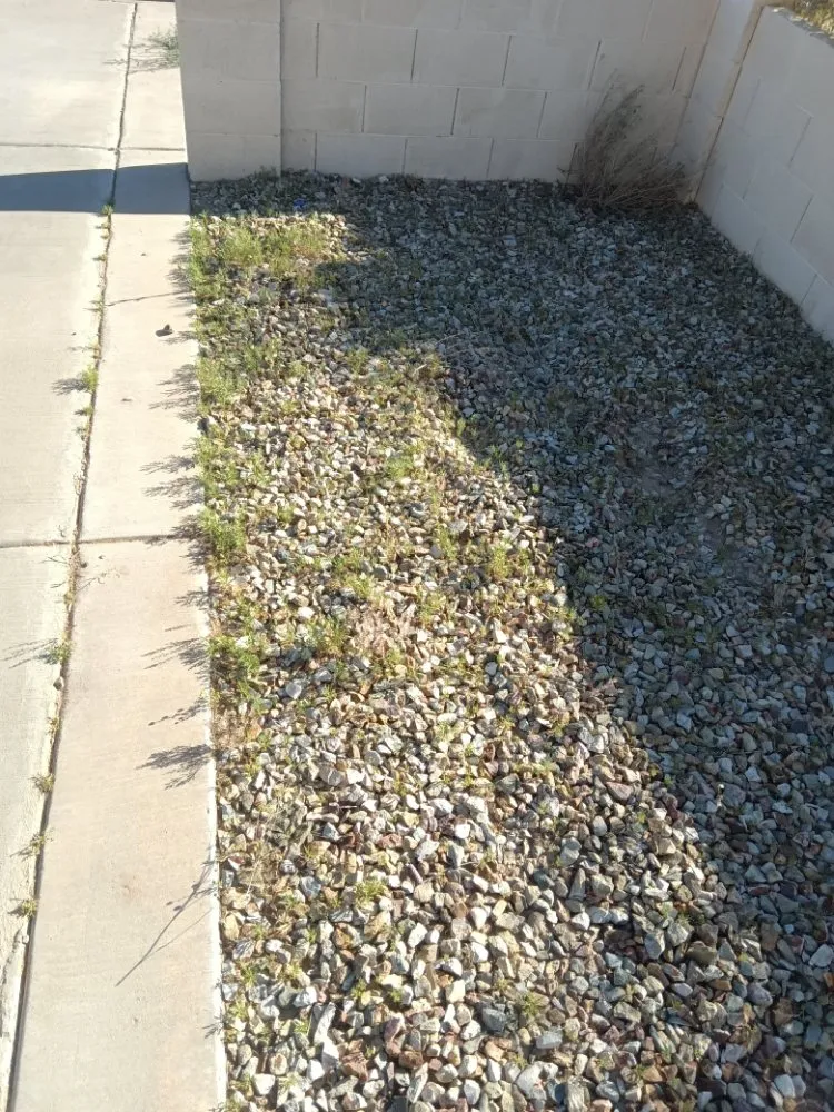 Top-rated residential landscaping experts serving Maricopa, AZ - Flying Jays Detail