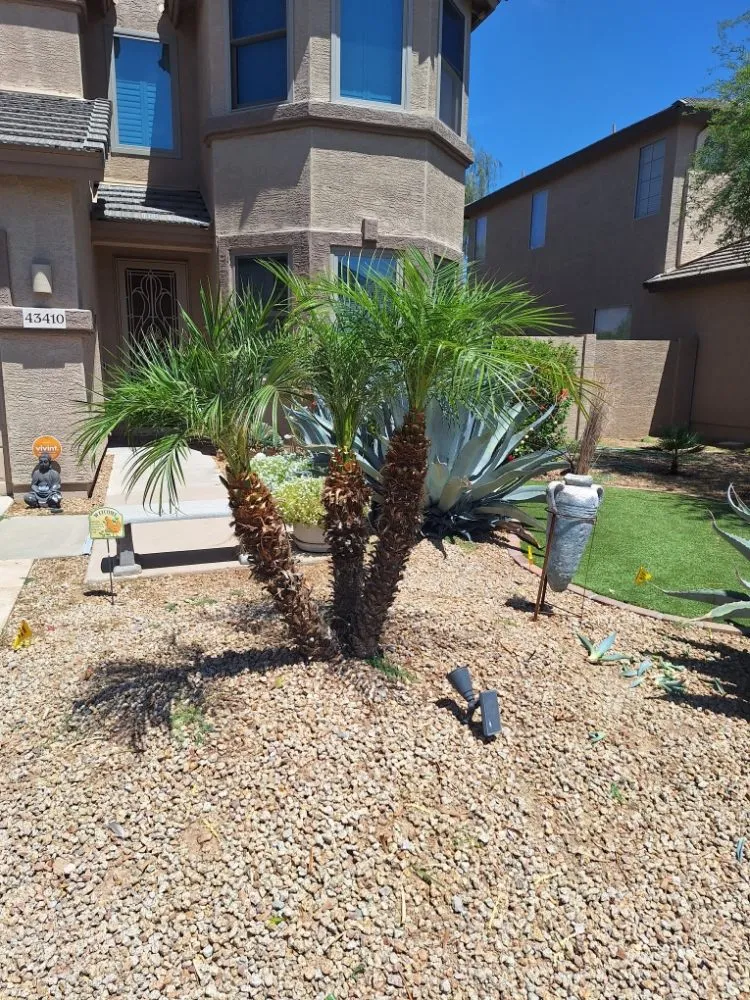 Reliable yard cleanup service with custom design across Maricopa, AZ - Flying Jays Detail