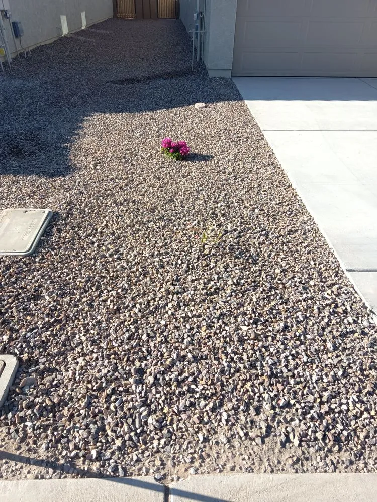 Expert garden landscaping in Maricopa, AZ - Flying Jays Detail