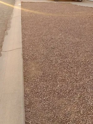 Flying Jays Detail Logo