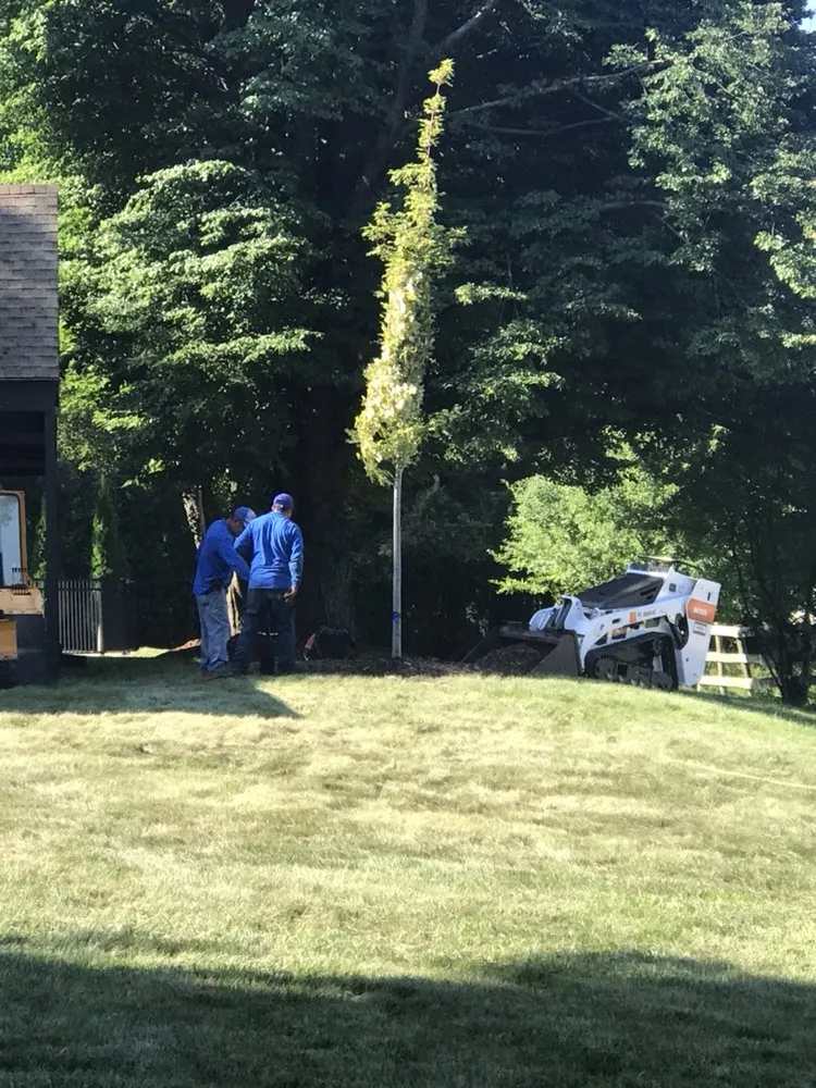 Affordable residential landscaping in East Dundee, IL - Flying Squirrel Tree Service