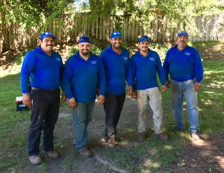 Trusted yard cleanup service in East Dundee, IL - Flying Squirrel Tree Service