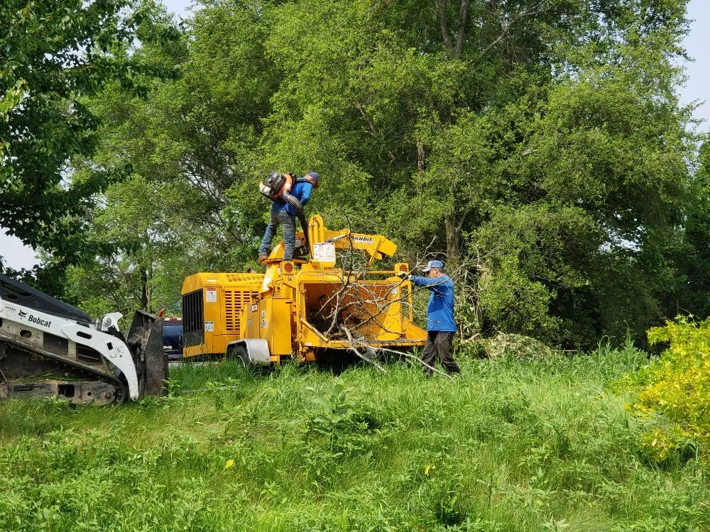 Affordable residential landscaping for beautiful yards across East Dundee, IL - Flying Squirrel Tree Service