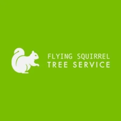 Expert lawn mowing service in East Dundee, IL - Flying Squirrel Tree Service