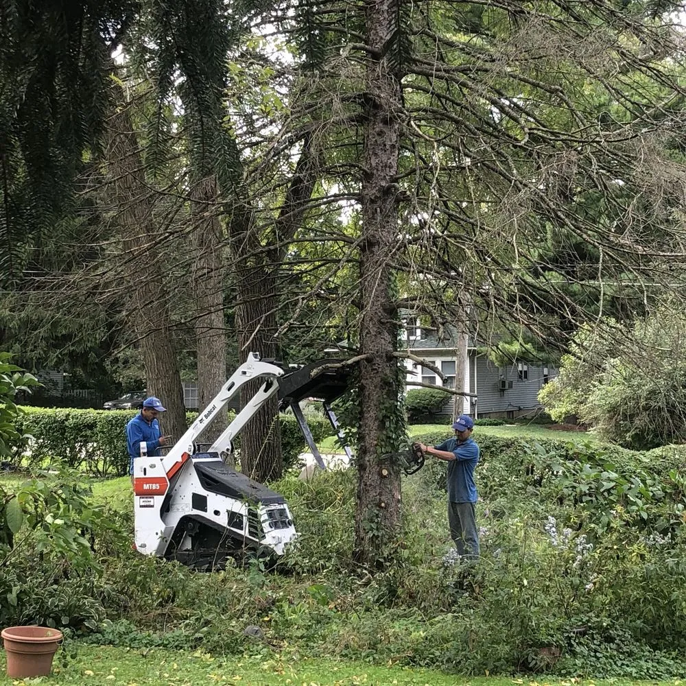 Affordable landscape design with custom design in East Dundee, IL by Flying Squirrel Tree Service