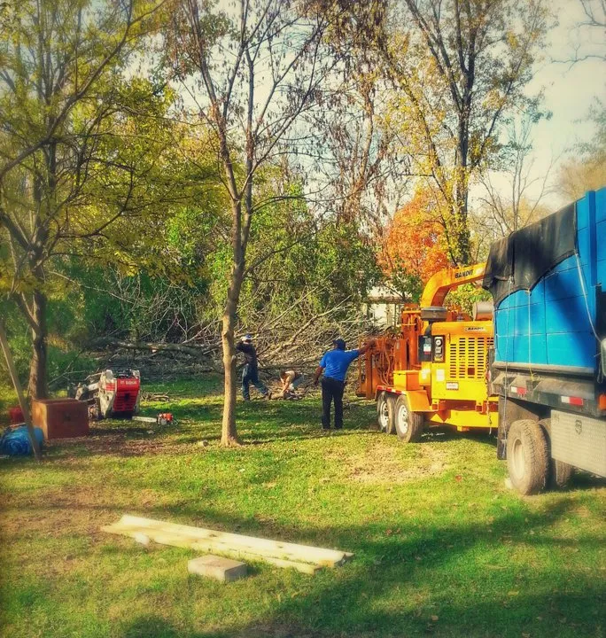 Top-rated residential landscaping in East Dundee, IL - Flying Squirrel Tree Service