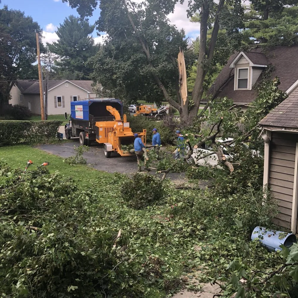 Local landscape installation for homes in East Dundee, IL by Flying Squirrel Tree Service