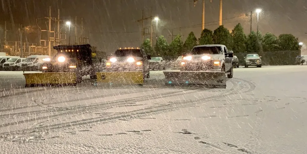 Trusted yard maintenance experts serving Boston, MA - Flynn & Sons Property Management