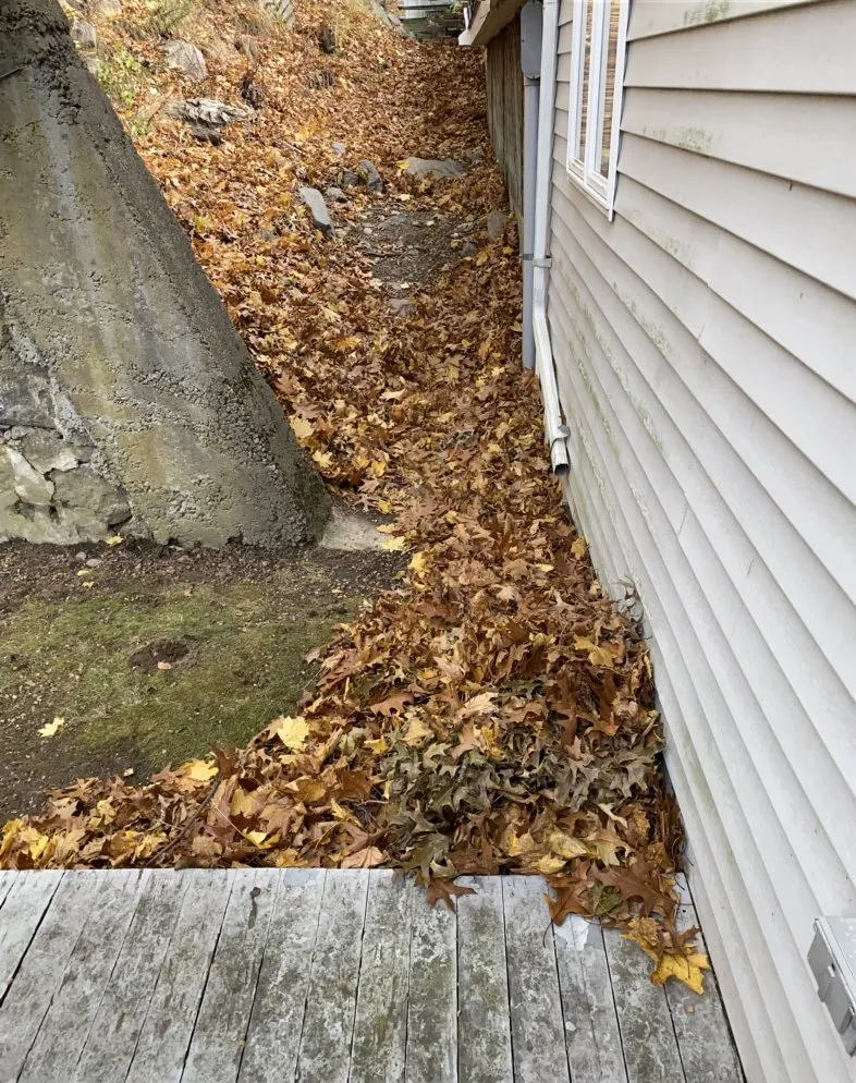 Local landscape design for homes across Boston, MA - Flynn & Sons Property Management