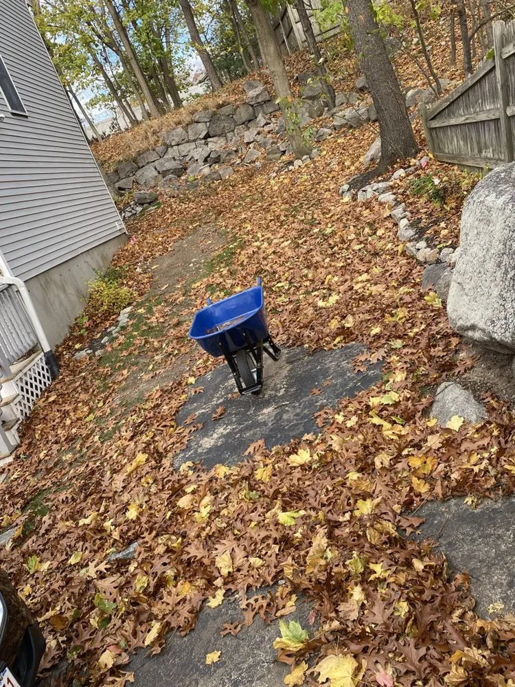 Trusted landscape installation for year-round maintenance across Boston, MA - Flynn & Sons Property Management