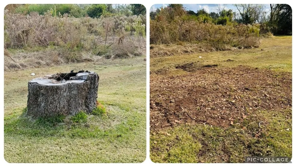 Local yard cleanup service in Ovett, MS - Flynt’s Land Solutions