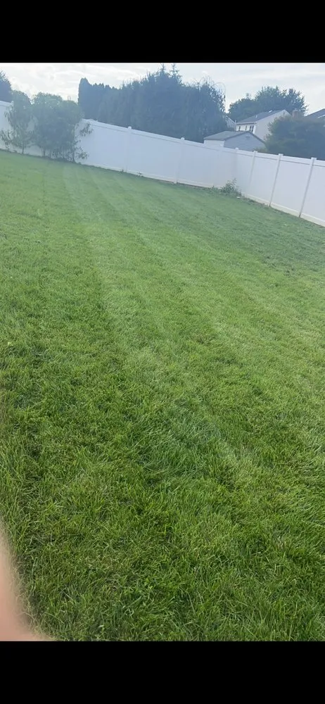 Reliable landscaping services for year-round maintenance across Nazareth, PA - Flytes Landscaping