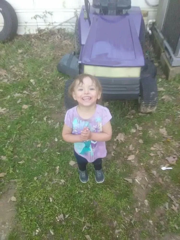 Trusted landscaping services in Batesville, AR - F&m Dickey Lawn service