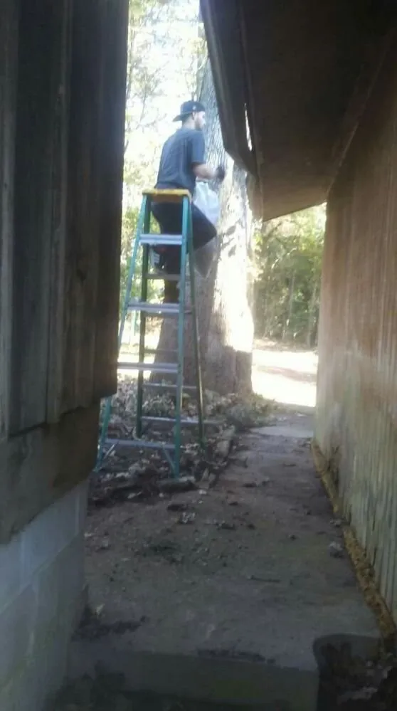 Expert lawn mowing service in Batesville, AR - F&m Dickey Lawn service