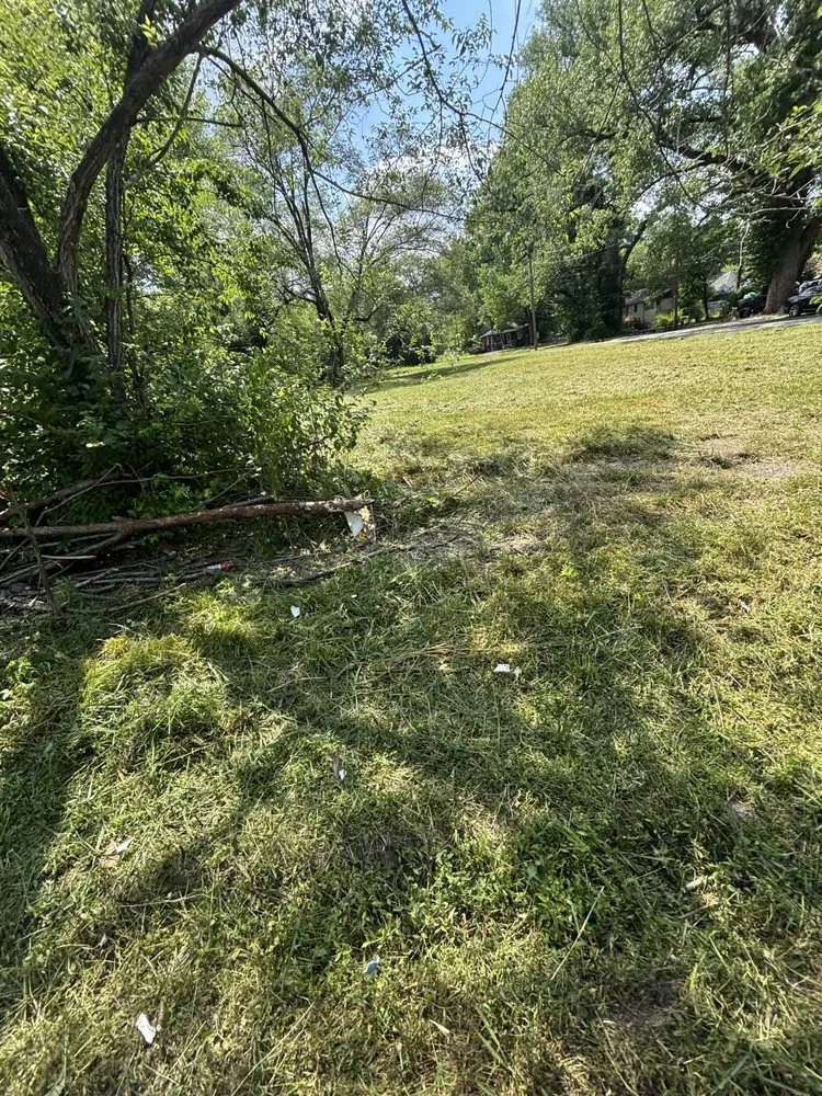 Custom yard maintenance in Collinsville, IL by FM Land and More