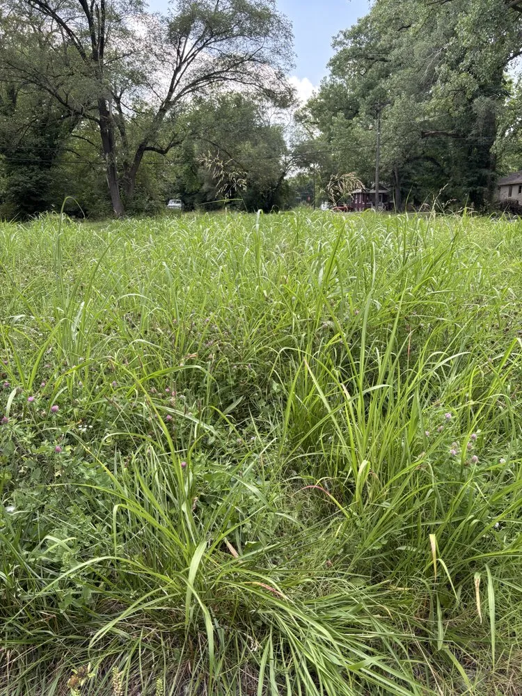 Affordable lawn mowing service in Collinsville, IL - FM Land and More