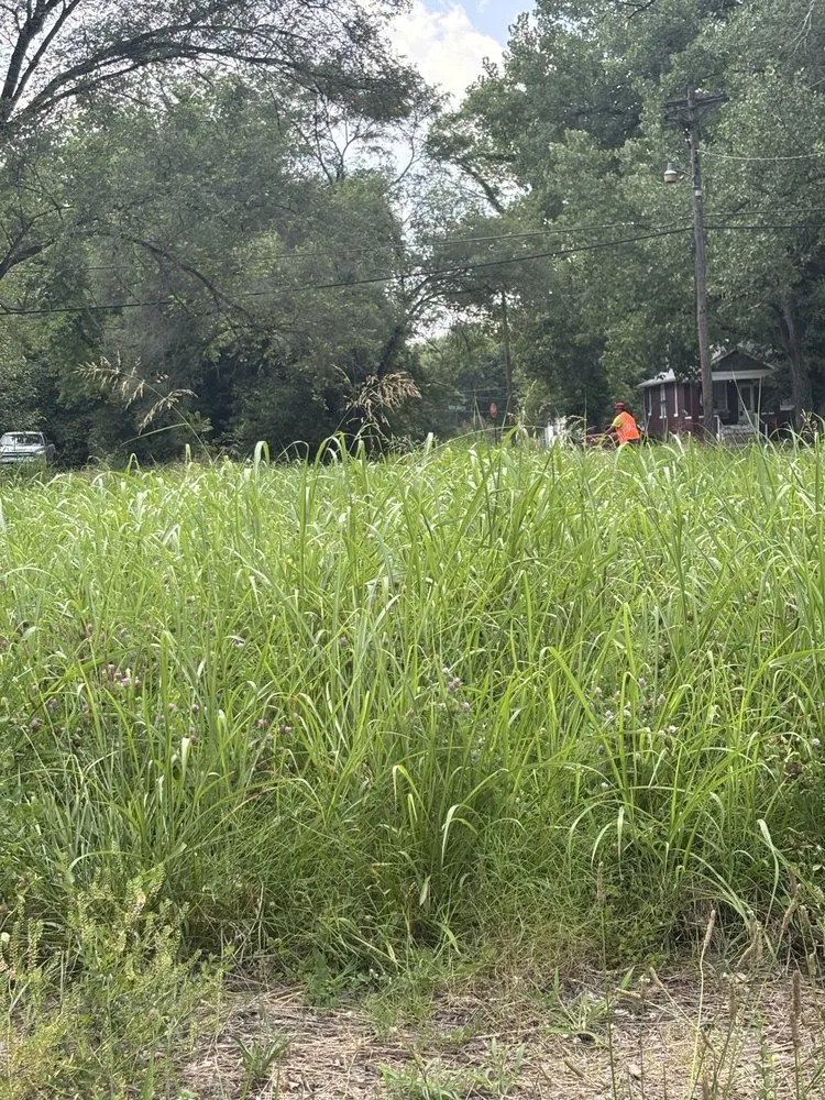 Affordable yard maintenance for beautiful yards across Collinsville, IL - FM Land and More