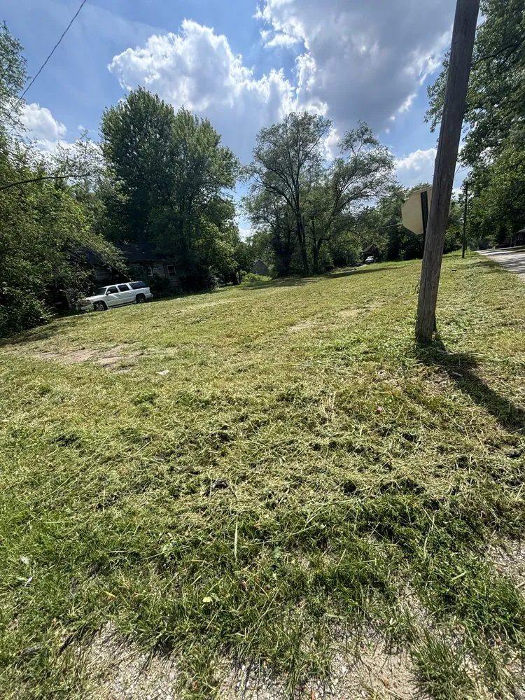 Reliable yard cleanup service in Collinsville, IL by FM Land and More