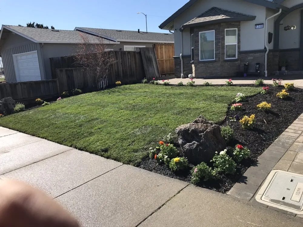Expert lawn care service experts serving Delhi, CA - F&M Landscape