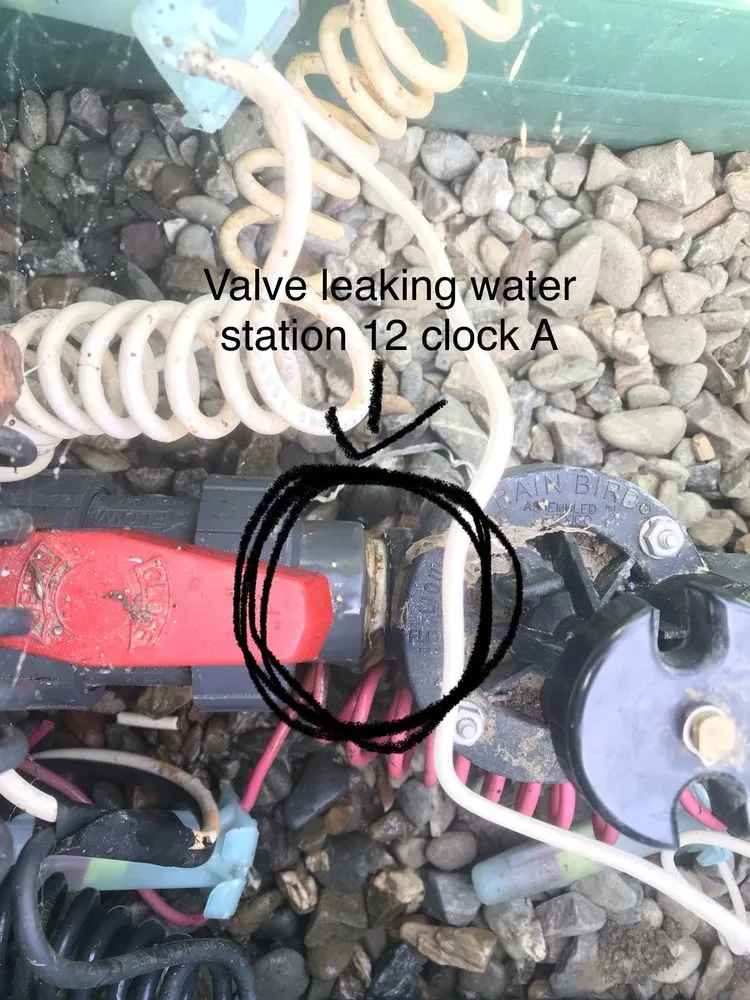 Custom yard maintenance for residential properties in Delhi, CA by F&M Landscape