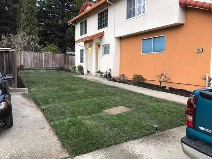 Trusted landscape design for beautiful yards in Delhi, CA by F&M Landscape