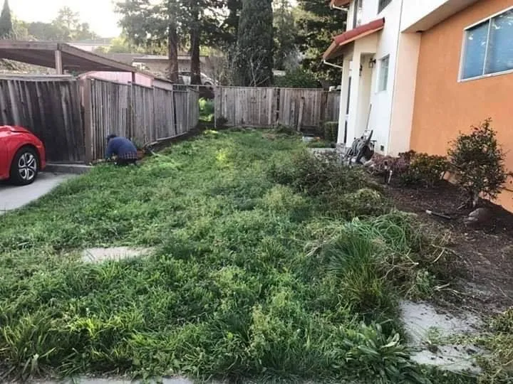 Expert lawn mowing service experts serving Delhi, CA - F&M Landscape