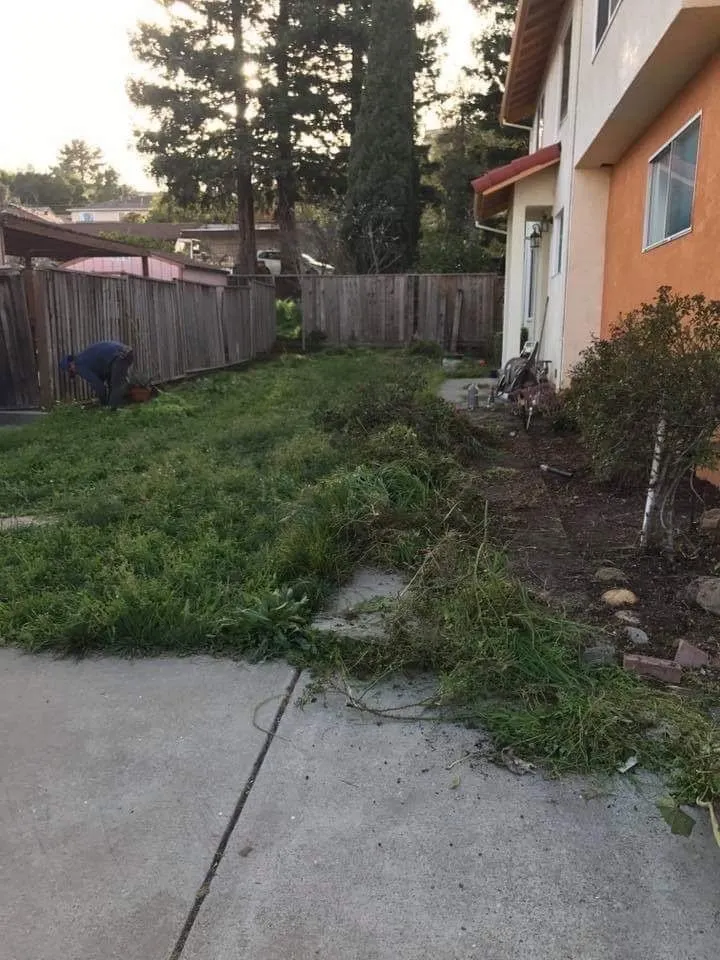 Reliable lawn mowing service in Delhi, CA by F&M Landscape