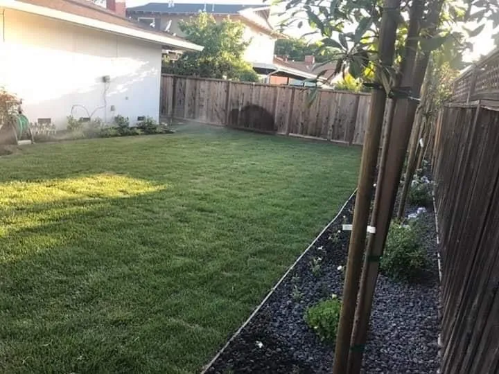 Affordable garden landscaping in Delhi, CA - F&M Landscape