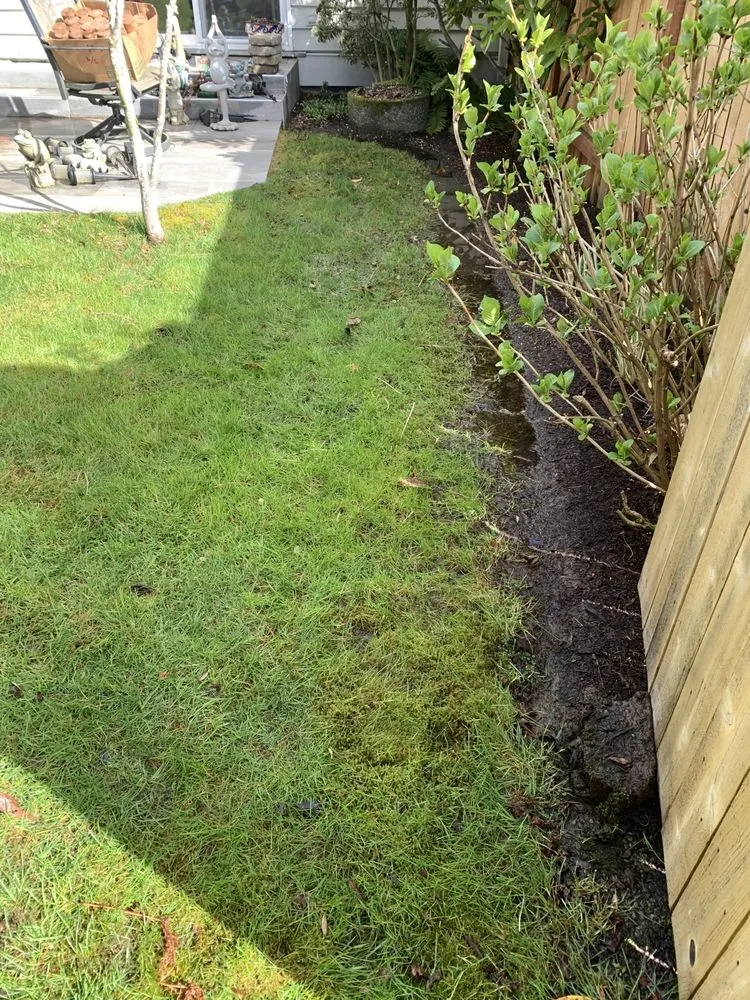 Expert yard maintenance in Everett, WA by FM Landscaping