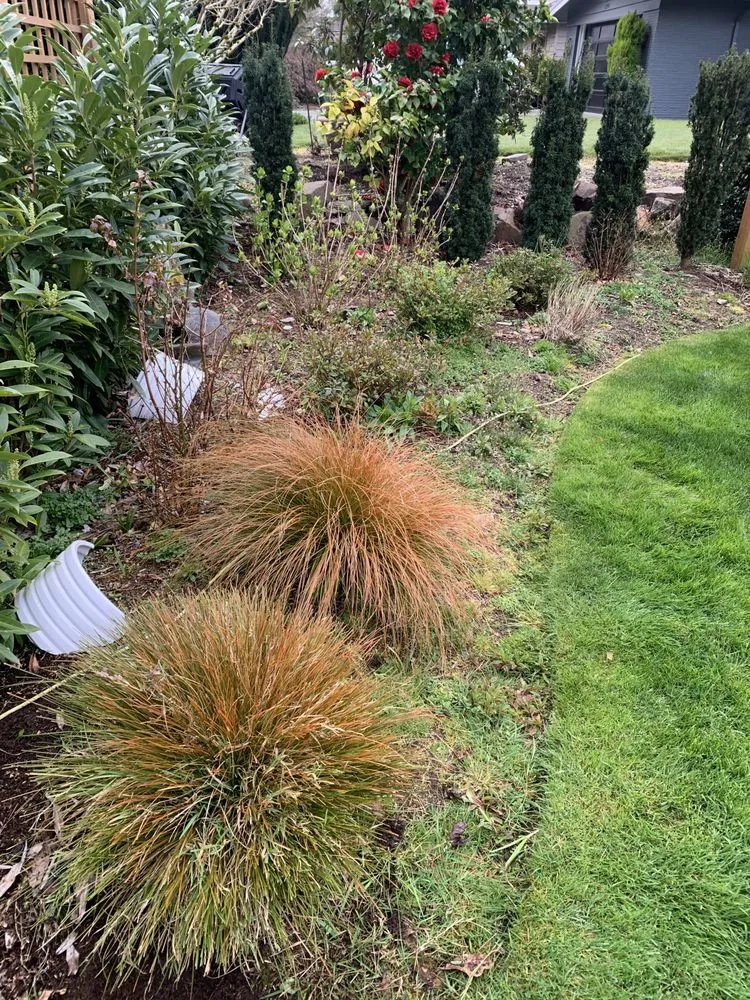 Top-rated yard maintenance in Everett, WA - FM Landscaping