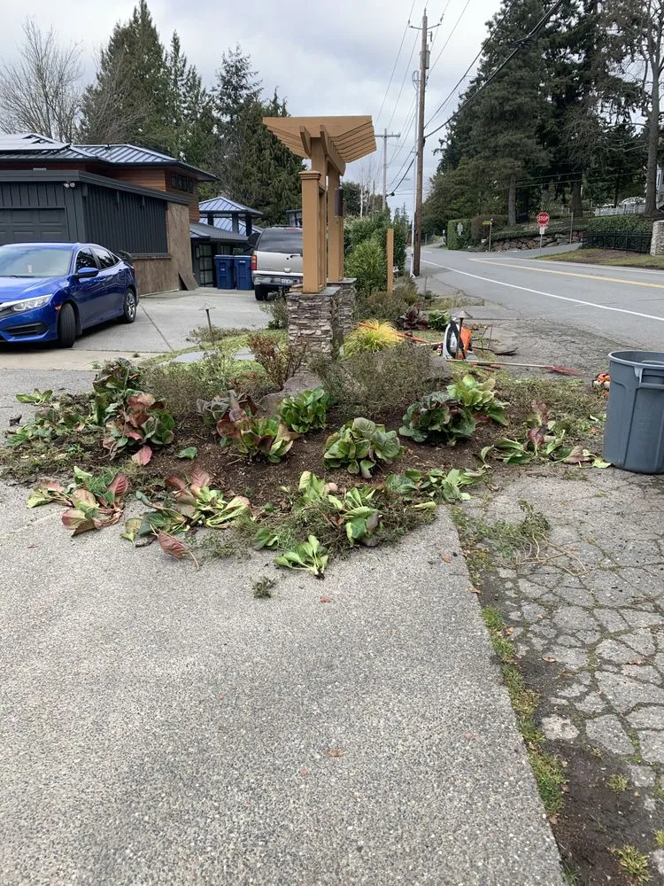 Expert residential landscaping for year-round maintenance across Everett, WA - FM Landscaping