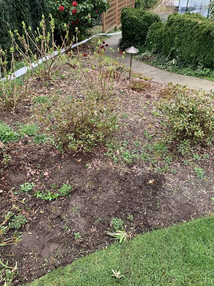 Top-rated yard maintenance experts serving Everett, WA - FM Landscaping